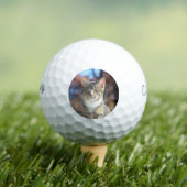 ブリン ゴルフボール (インサイチュ 木)