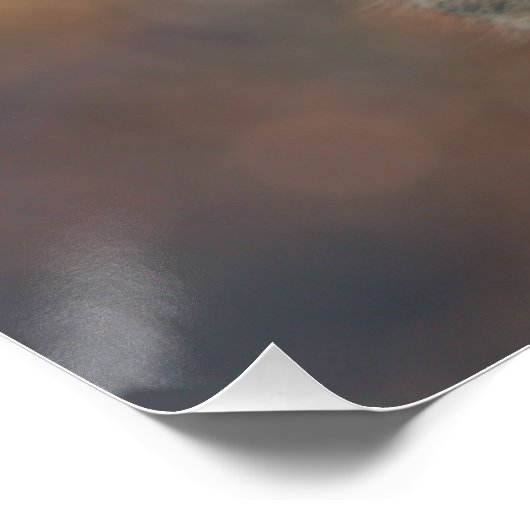 ブリン ポスター (コーナー)