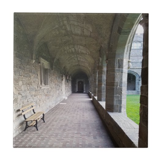 ブリン·マールに影を付けたクロイスター廊下 タイル (正面)