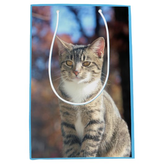 ブリン ミディアムペーパーバッグ (正面)