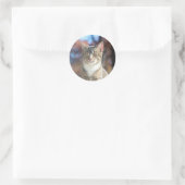 ブリン ラウンドシール (バッグ)