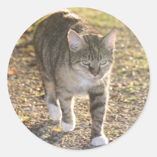 ブリン ラウンドシール (正面)