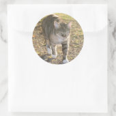 ブリン ラウンドシール (バッグ)