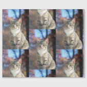 ブリン ラッピングペーパー (フラット)