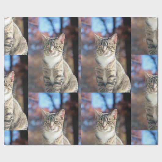 ブリン ラッピングペーパー (シーム)