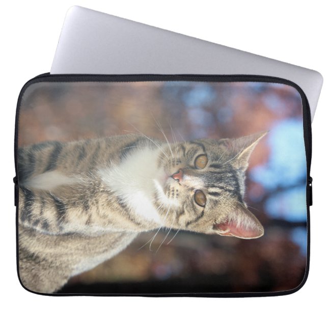 ブリン ラップトップスリーブ (正面)