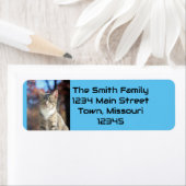 ブリン ラベル (インサイチュ)