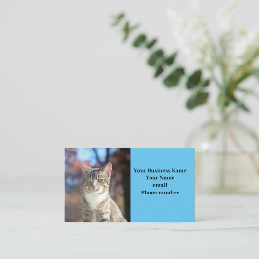 ブリン 名刺 (スタンド正面)