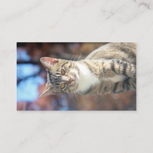 ブリン 名刺 (裏面)