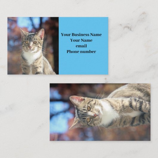 ブリン 名刺 (正面/裏面)