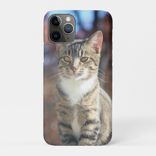 ブリン Case-Mate iPhoneケース (裏)