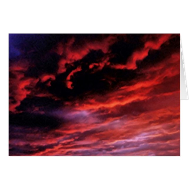 ブリーウィンカードを嵐で破る (正面横)