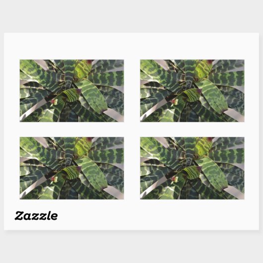 ブリーエイ脾臓ブロメリアド植ストライプの物葉の 長方形シール (シート)