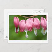 ブリーザー ポストカード (正面/裏面)