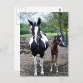 ブリーズイン・ズラ ポストカード (正面/裏面)