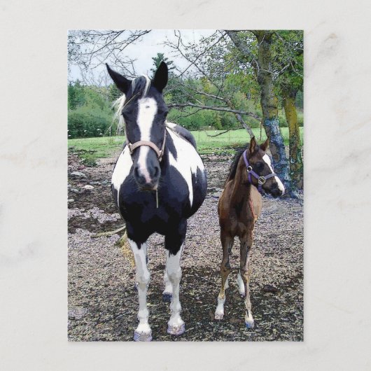 ブリーズイン・ズラ ポストカード (正面)