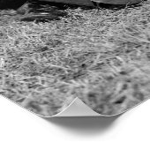 ブリーチャー席1925年 ポスター (角)