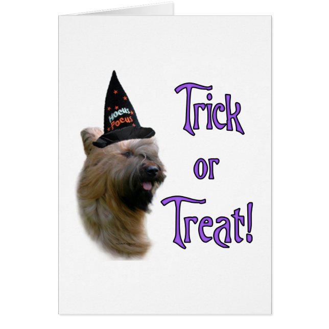 ブリードトリック (正面)