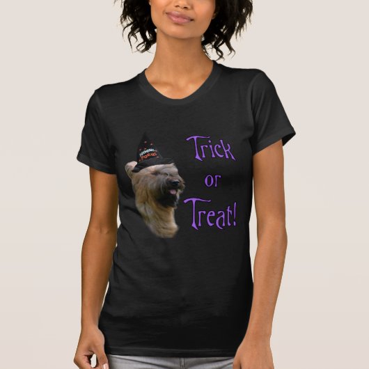 ブリードトリック Tシャツ (正面)