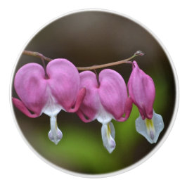 ブリードハートセラミックノブ セラミックノブ