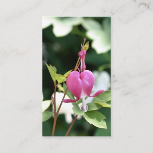 ブリードハートフラワー撮影名刺 名刺 (裏面)