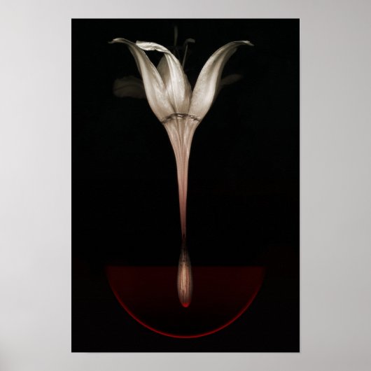 ブリードリリー2013 ポスター (正面)