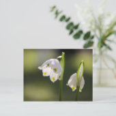 ブリーフカステンのフュリンゴボテンブリンゲン・グリュック ポストカード (スタンド正面)