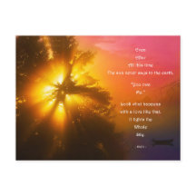 ブリーフカート・ハフィズ