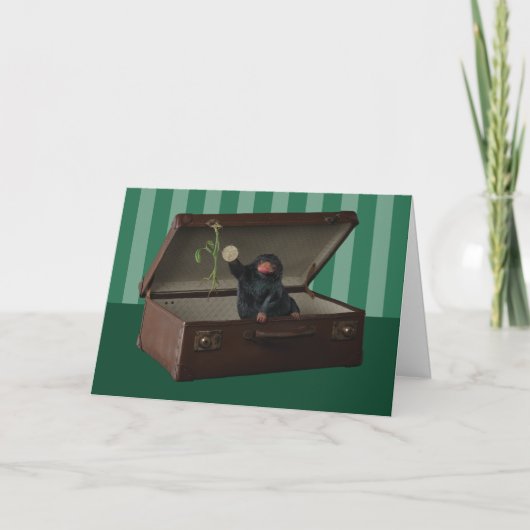 ブリーフケース内のPickett & Teddy カード (正面)