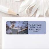 ブリー・ジェイ ラベル (インサイチュ)