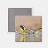 ブリ浴 マグネット (正面/裏面)