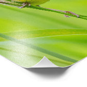 ブリ フォトプリント            (角)