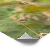 ブルおもしろいムース ポスター (角)