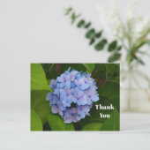 ブルかわいらしーピンクアジサフローラ写真ありがとう ポストカード (スタンド正面)