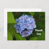 ブルかわいらしーピンクアジサフローラ写真ありがとう ポストカード (正面/裏面)
