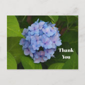 ブルかわいらしーピンクアジサフローラ写真ありがとう ポストカード (正面)
