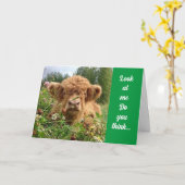 ブルは真剣で「ハッピー60誕生日」と言う カード (黄色い花)