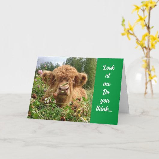 ブルは真剣で「ハッピー60誕生日」と言う カード (黄色い花)