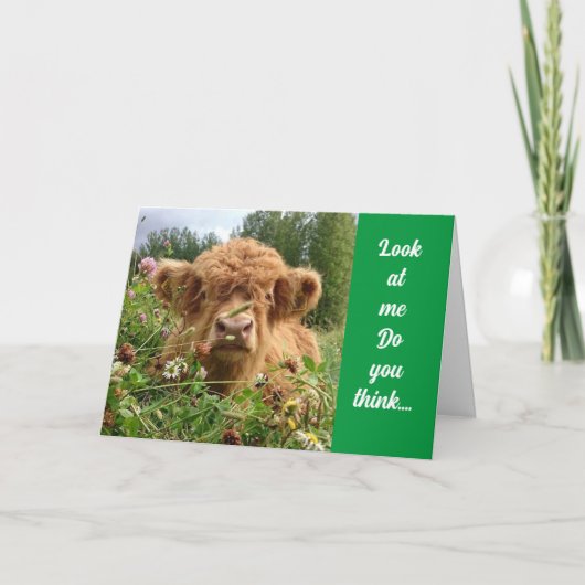 ブルは真剣で「ハッピー60誕生日」と言う カード (正面)