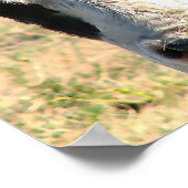 ブルウォッチ ポスター (角)