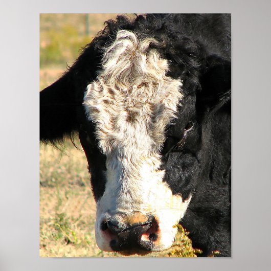 ブルウォッチ ポスター (正面)