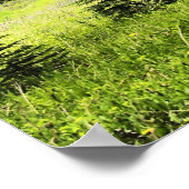 ブルエルクアットキャッスルマウンテンバンフ国立公園 ポスター (角)