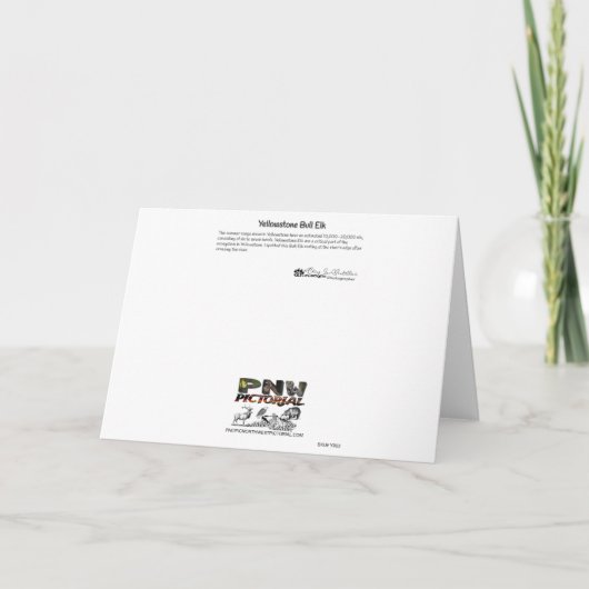 ブルエルクイエローストーンサンキューカード サンキューカード (裏面)