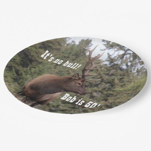 ブルエルクインジャスパー、アルバータ50誕生日 ペーパープレート (アングル)