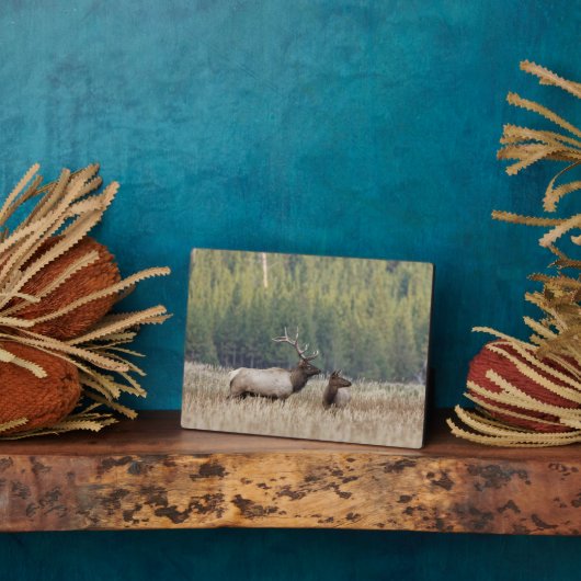 ブルエルクインメドウ |イエローストーン国立公園 フォトプラーク (側面)