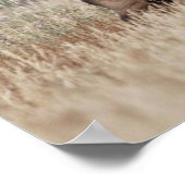 ブルエルクインメドウ |イエローストーン国立公園 ポスター (角)