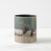 ブルエルクインメドウ |イエローストーン国立公園 マグカップ (中央)