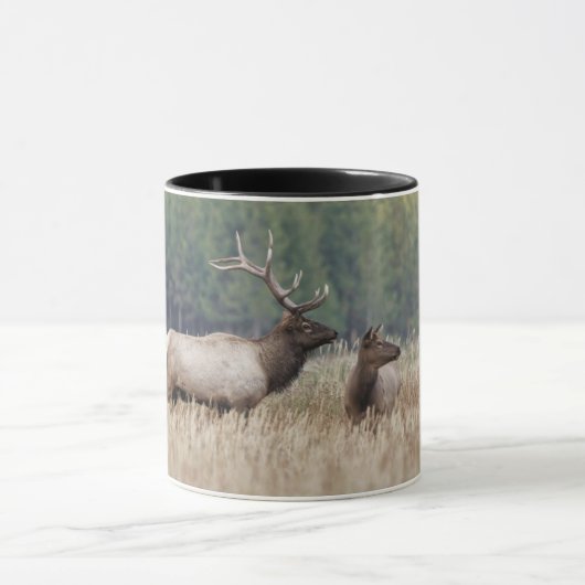 ブルエルクインメドウ |イエローストーン国立公園 マグカップ (中央)