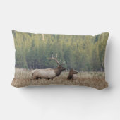 ブルエルクインメドウ |イエローストーン国立公園 ランバークッション (裏面)