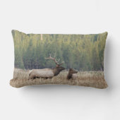 ブルエルクインメドウ |イエローストーン国立公園 ランバークッション (正面)